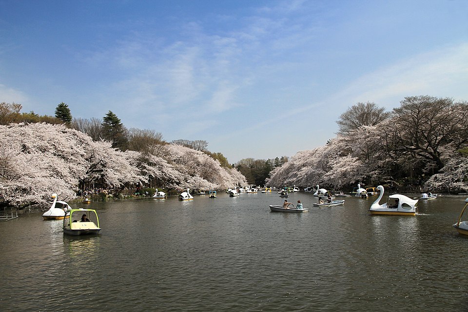 井の頭池