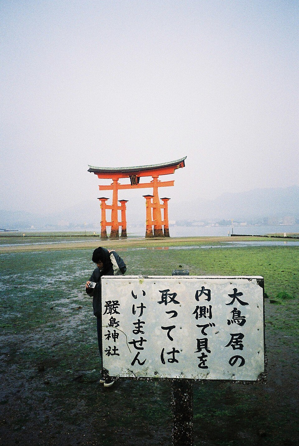 嚴島神社 大鳥居