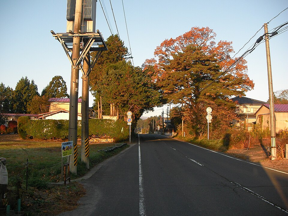 木のトンネル